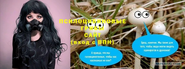 экстази Вяземский