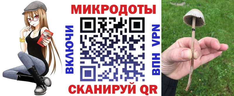 Купить закладки  Правдинск  Псилоцибиновые грибы прущие грибы 